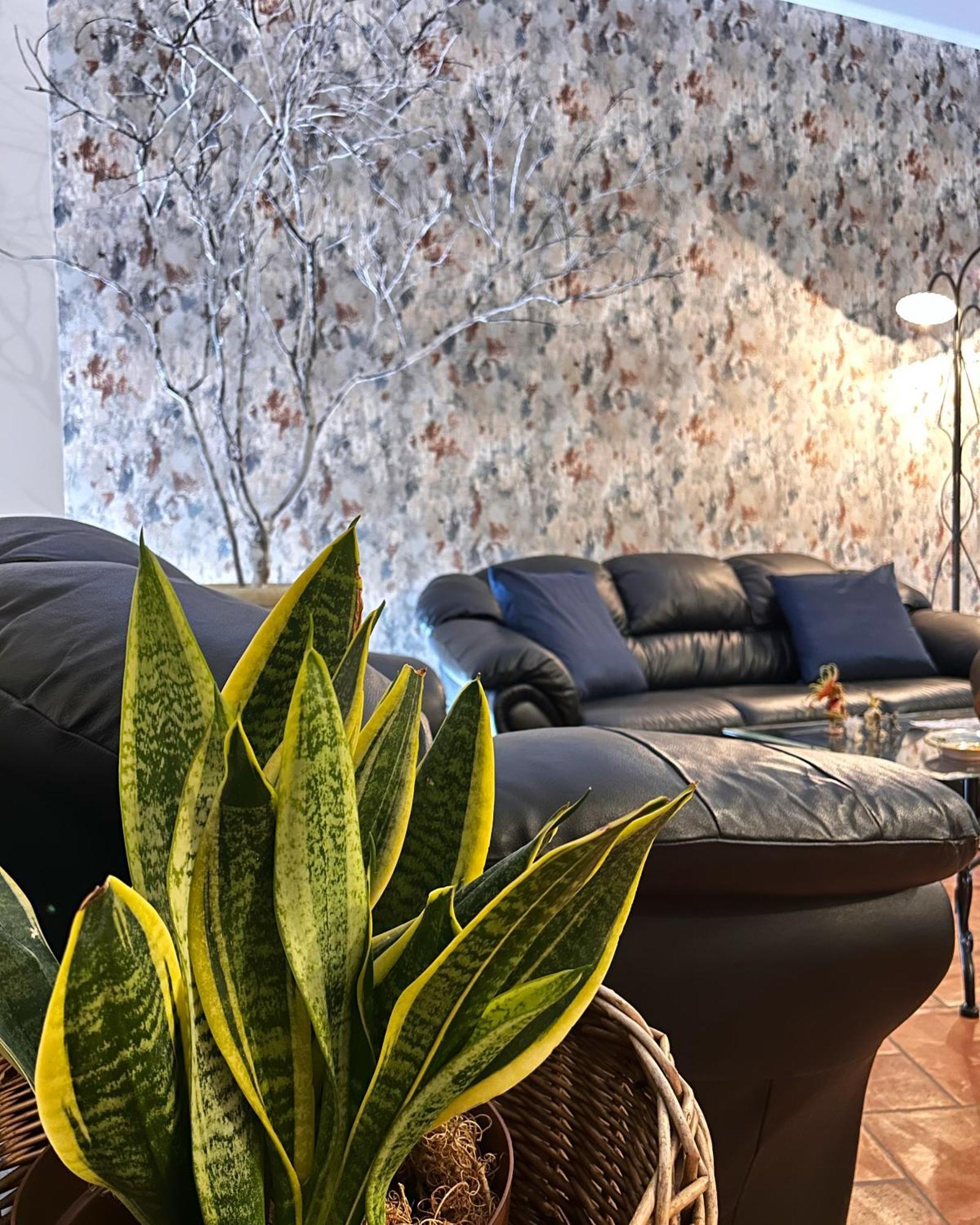 Ohana House Giarre Dış mekan fotoğraf